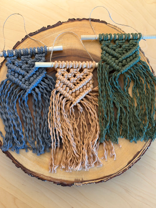 Small Macramé Wall Hanging