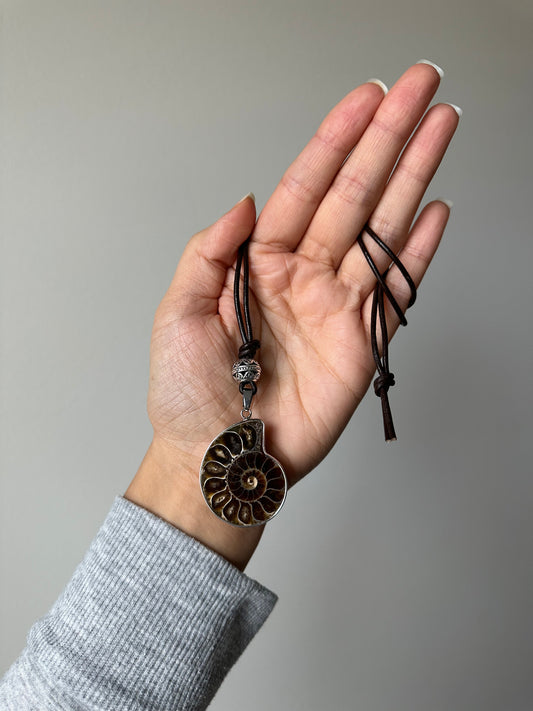 Ammonite Pendant Necklace