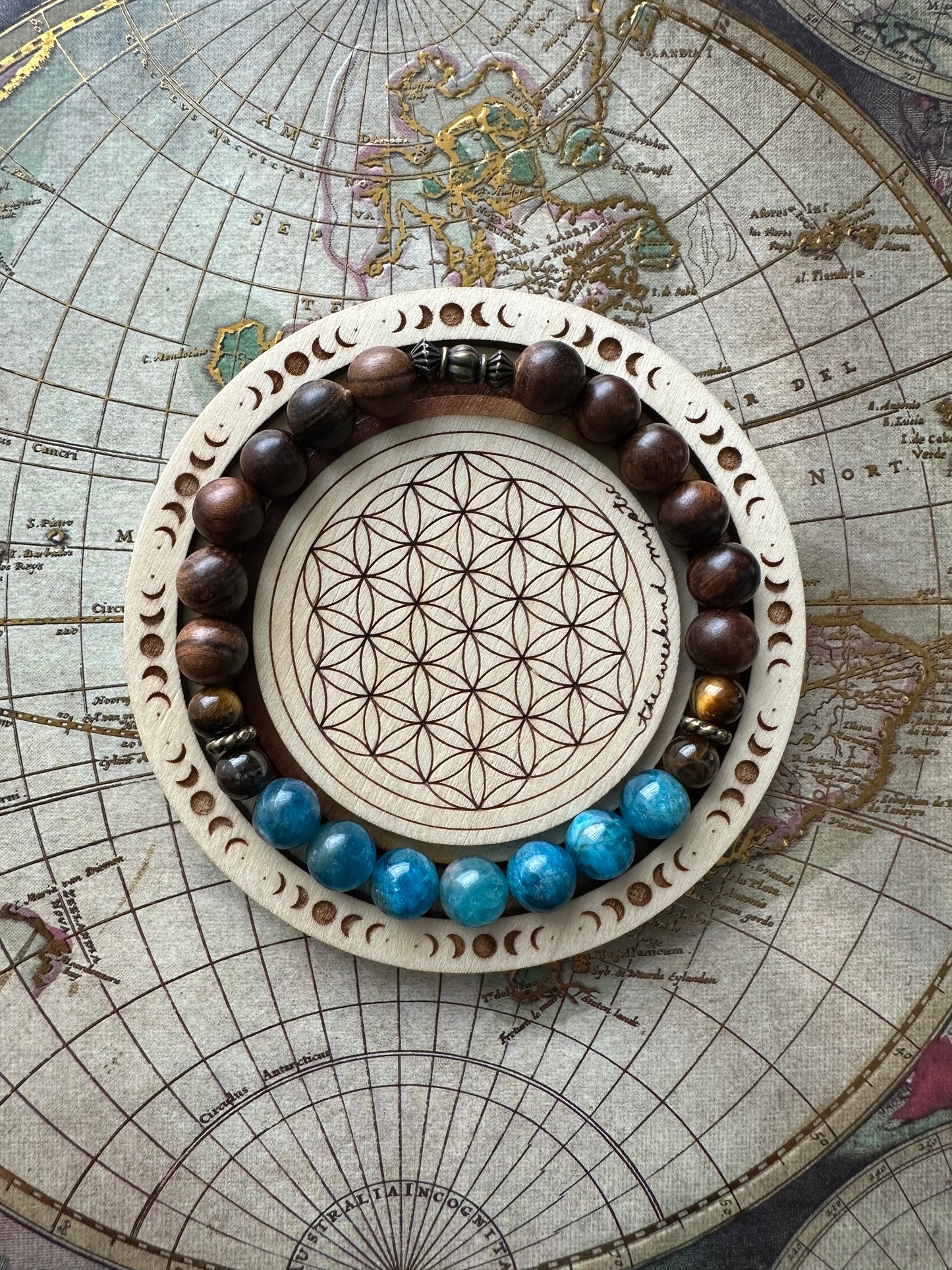 Apatite & Palisander Wood Stretch Bracelet